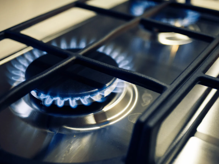 Gas Stove Chulha