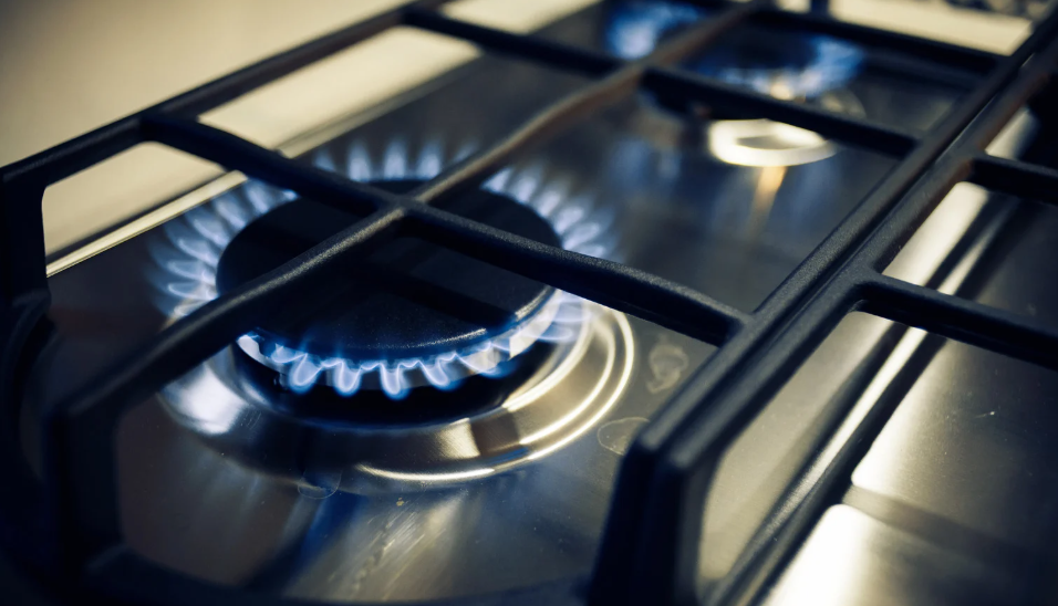 Gas Stove Chulha